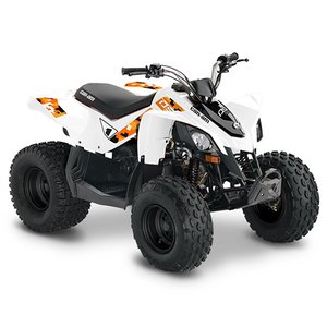 2010 - 2022 CAN AM DS 90 2T